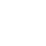 Auto Diagnostics