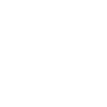 Steering Repair