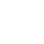 Wheel Alignments